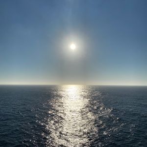 Meet your Posher, Mandy